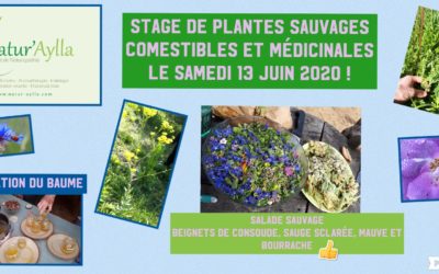 13 JUIN 2020: STAGE DE PLANTES SAUVAGES COMESTIBLES ET MÉDICINALES