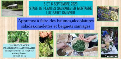 5 et 6 septembre 2020 : STAGE DE PLANTES MÉDICINALES ET COMESTIBLES EN MONTAGNE ( LUZ-SAINT-SAUVEUR)