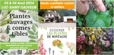 STAGE PLANTES SAUVAGES DE MONTAGNE 03 & 04 Aout 2024